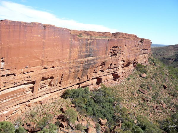 AustraliaAdelaide 10  131